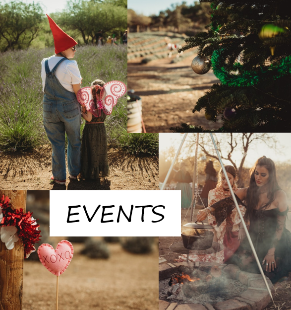 Events Life Under the Oaks Lavender Farm